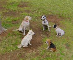 �����i���o�[����1