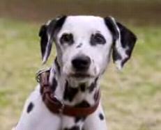 �����i���o�[����2