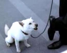 �z���C�g�Ƒ�2