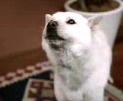 �z���C�g�Ƒ�3