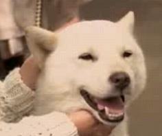 �����Ƃ�3