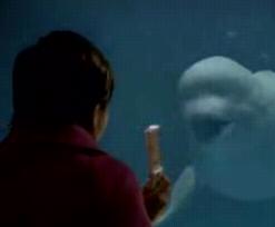 �����Ƃ�4