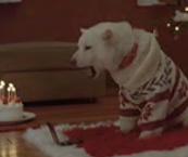 �N���X�}�X�\���O1