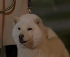 �����͂܂�������