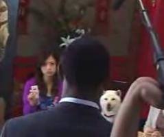 CM���C�L���O4