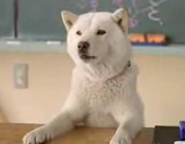 �z���C�g�w��2