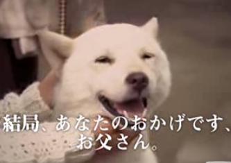 �z���C�g�v����4