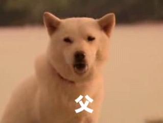 �����Ƃ�10