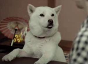 �����i���o�[����5