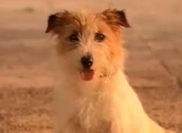 �z���C�g�w��9