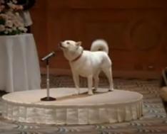 �z���C�g�w��11