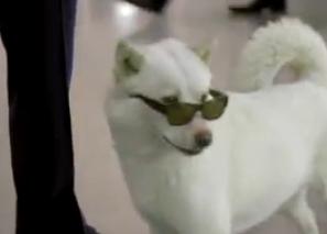 �����Ƃ�17