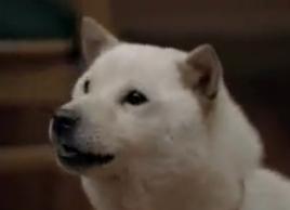 �z���C�g�w��13