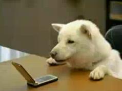 �u���b�h�E�s�b�g13