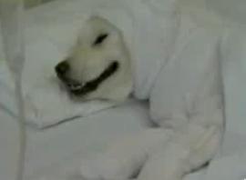 �̂肩����4