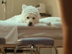 �̂肩����5