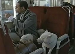 �̂肩����8