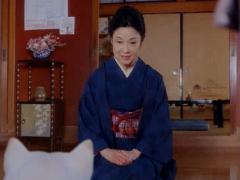 �z���C�g�w��18