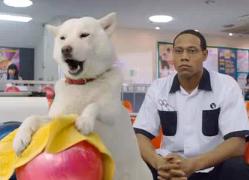 ��������`���R