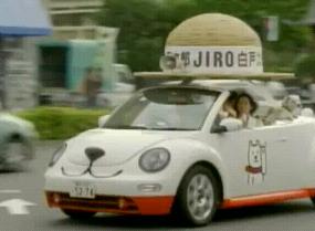 �̂肩����10