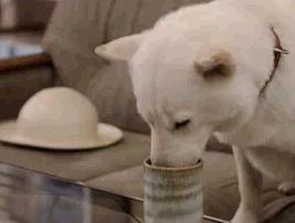 �c�C�b�^�[2