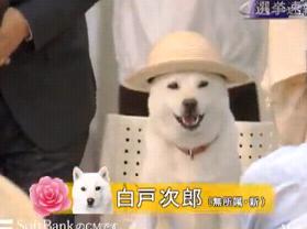 ����炨������2