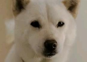 �����Ƃ�26