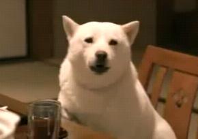 �̂肩����12