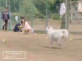 ���W�Ґ����