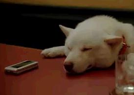 ���W�ҊԈႢ��