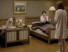 �X�x�e�m�q�g�j�A�C��1