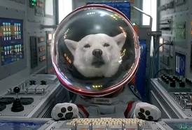 �z�b�g�J�[�y�b�g