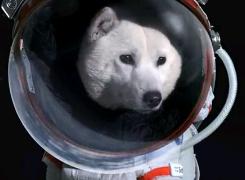 �F���̃T���^2