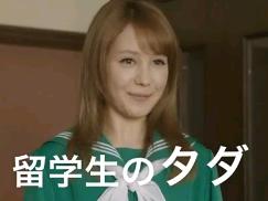 �n���C����̗��w��