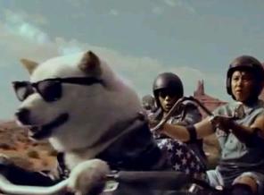 ���C���h������