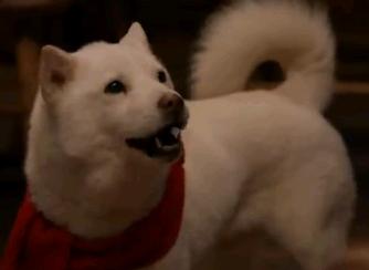 �ǂ��Ȃ锒�ˉ�2