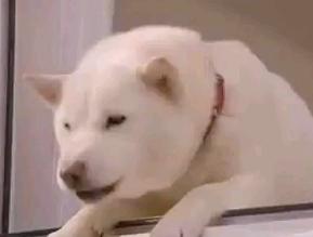 �ǂ��Ȃ锒�ˉ�6