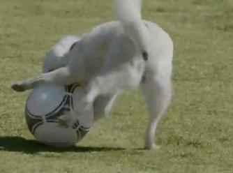 �ǂ��Ȃ锒�ˉ�15